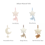 Dreams of Wonder™ Lumière Box (colours available) 